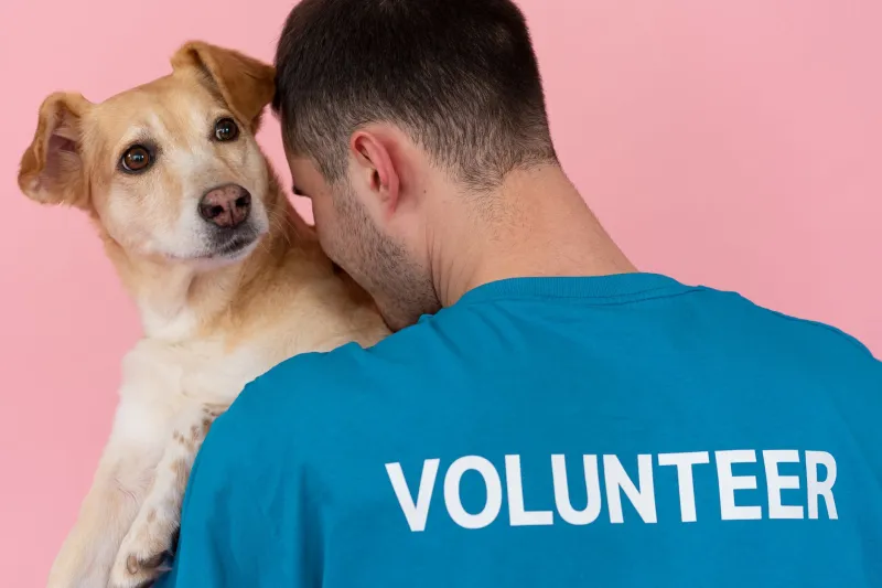 Shelter Visits, Missed Calls, and Lost Time: Why Alberta's Pet Recovery System Has a Communication Problem