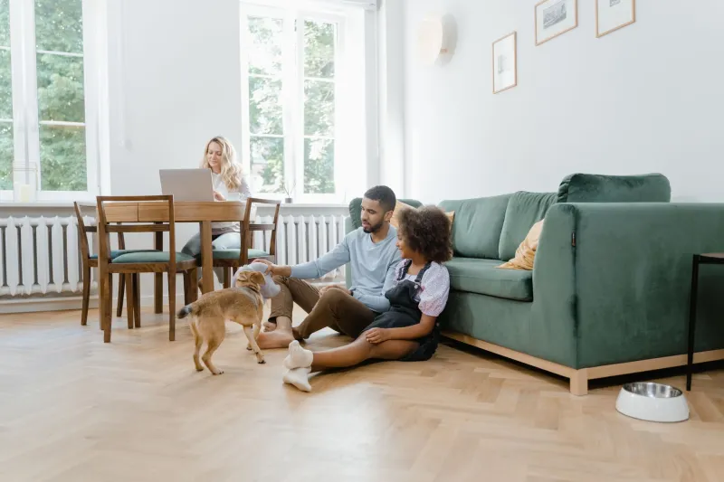 A Family Conversation Worth Having: Getting Everyone Ready Before a Pet Goes Missing