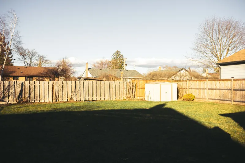 Good Intentions, Bad Outcomes: How Helpful Neighbours Can Derail Your Lost Pet Search
