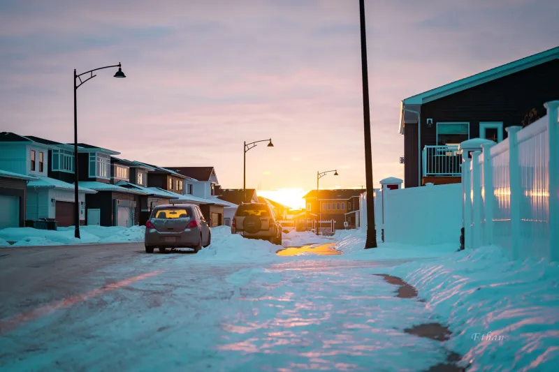 Why Does My Street Keep Losing Pets? The Hidden Patterns Behind High-Risk Neighbourhoods in Alberta