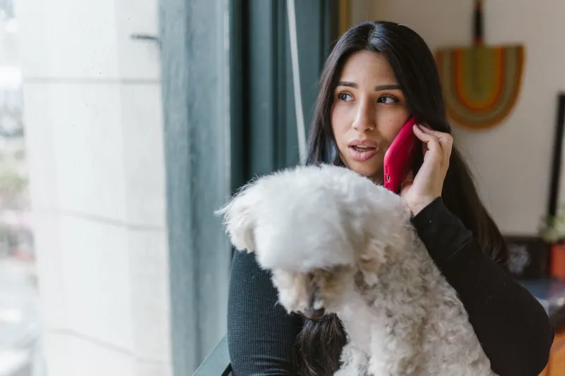 Found Your Pet? Now Comes the Awkward Part: How to Handle That First Conversation With the Finder