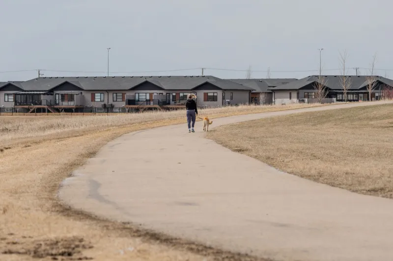Think Local First: Why Alberta-Specific Pet Recovery Resources Beat National Platforms When Every Hour Counts
