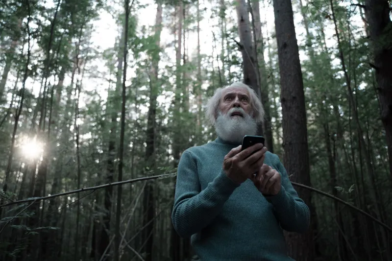 Press Play on Your Search: Using Sound Science to Call Your Lost Dog Home